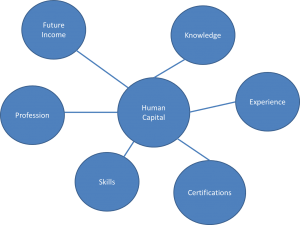 What is human capital