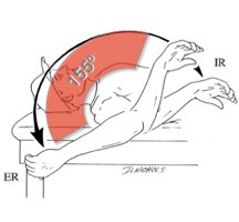 internal rotation