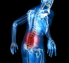 mobility drills lower back pain